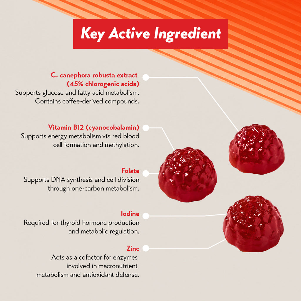 Hydroxycut Weight Loss + Multivitamin Gummies (90 servings)