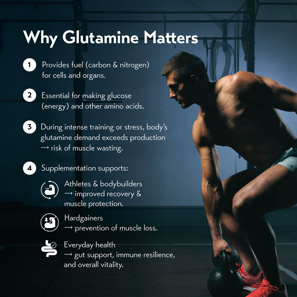 International Protein Glutamine (500g)