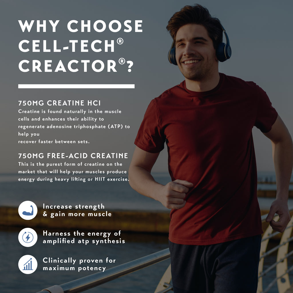 MuscleTech Cell Tech Creactor (264g)