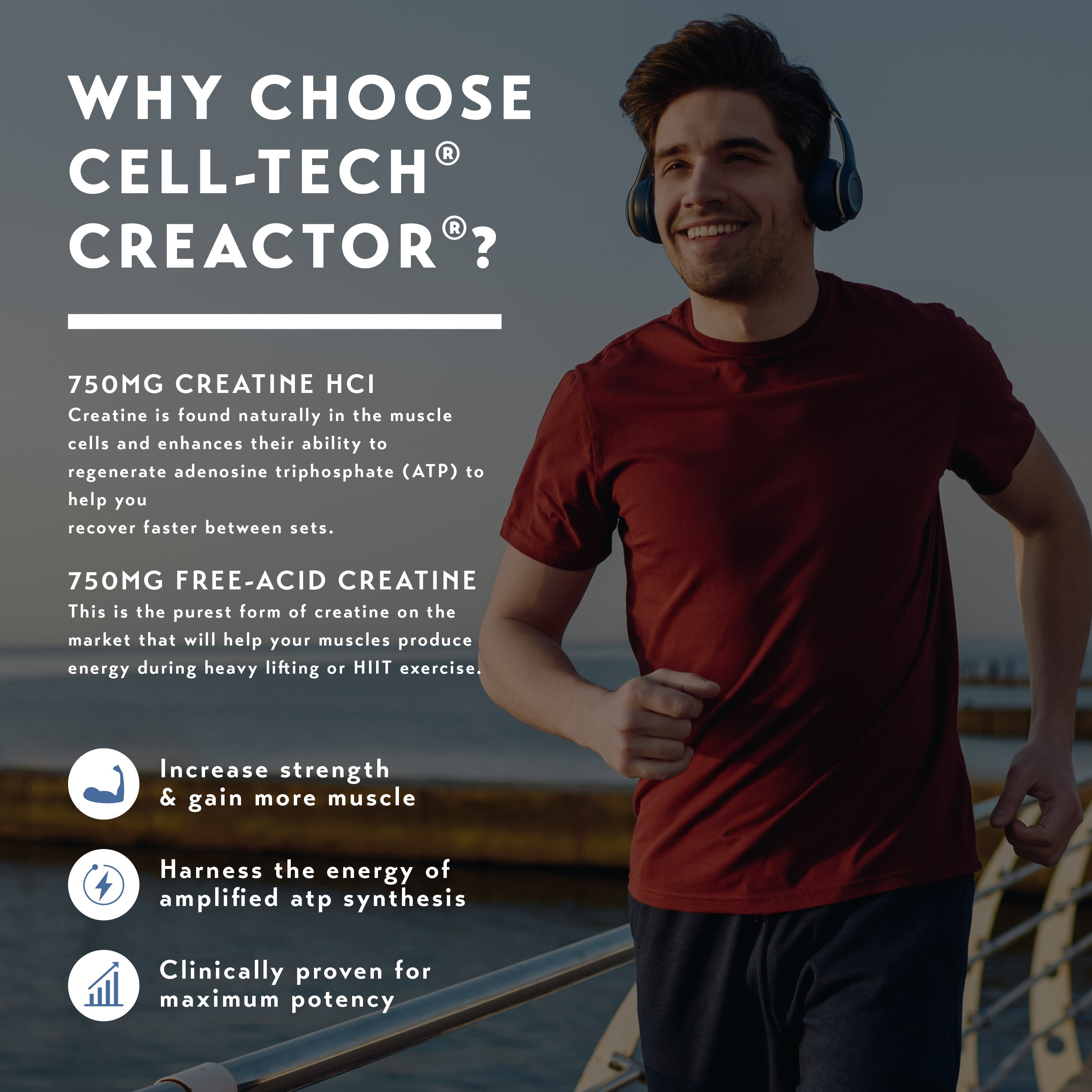 MuscleTech Cell Tech Creactor (264g)