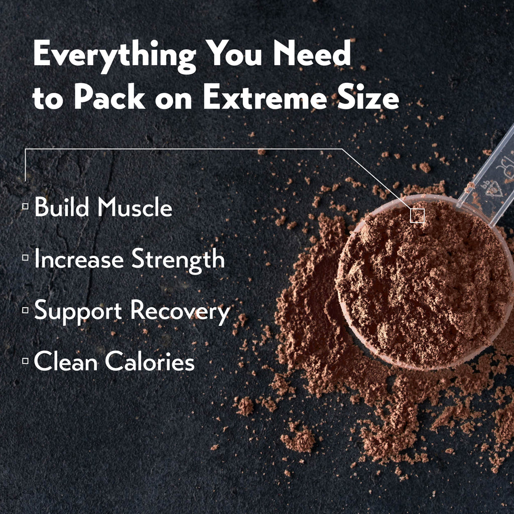 MuscleTech MassTech Extreme 2000 (6lbs / 12lbs)