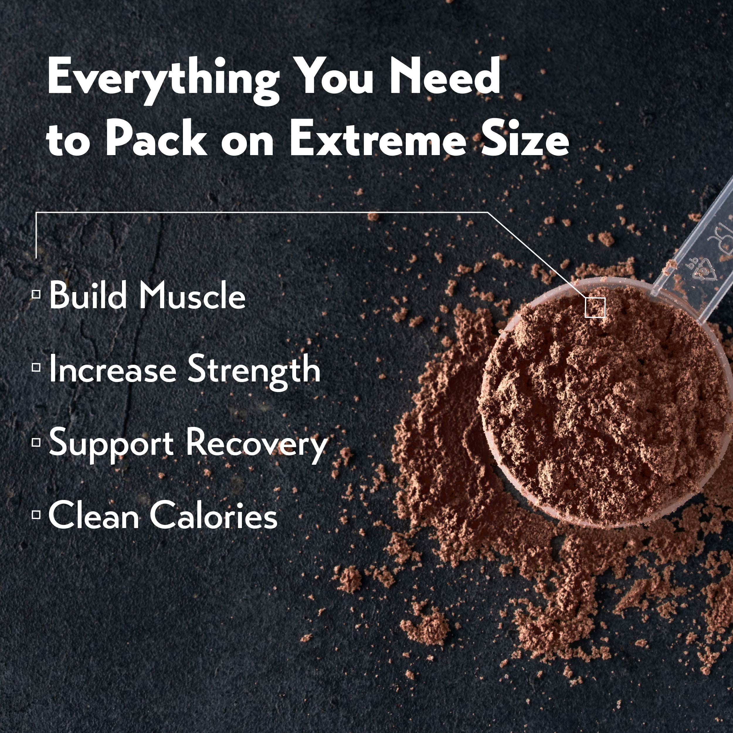 MuscleTech MassTech Extreme 2000 (6lbs / 12lbs)