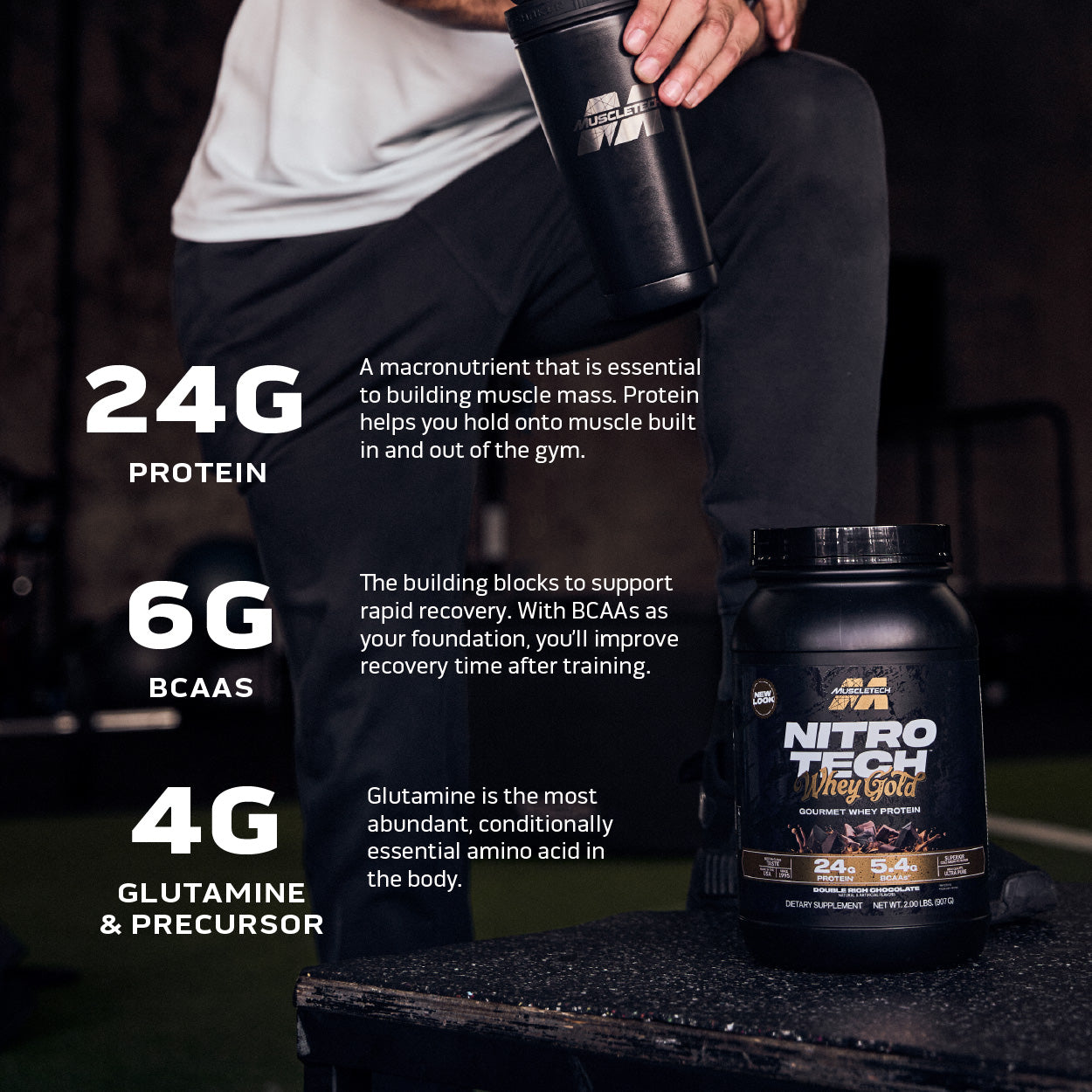 MuscleTech NitroTech 100% Whey Gold (2lbs)