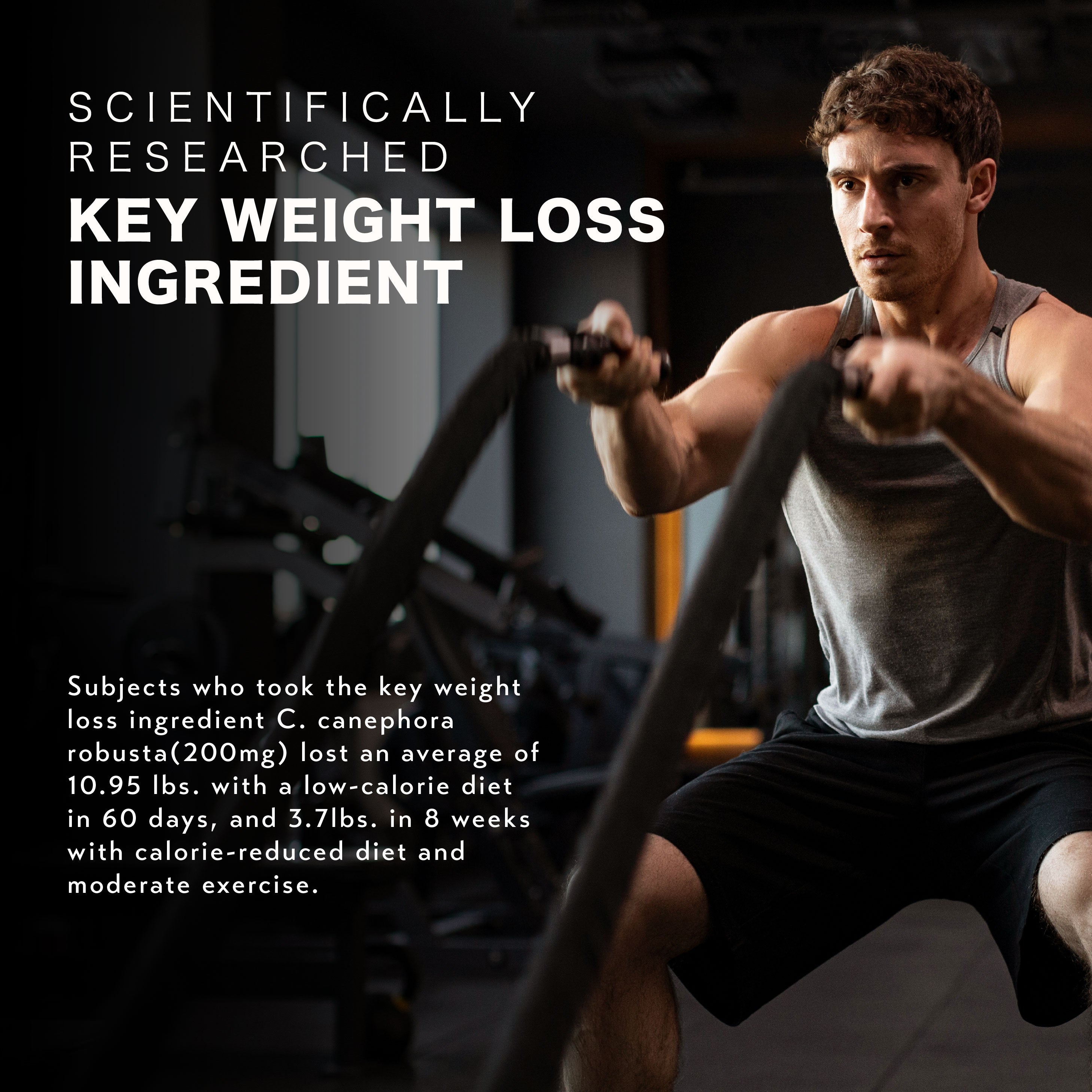 MuscleTech Nitrotech Ripped (4lbs)