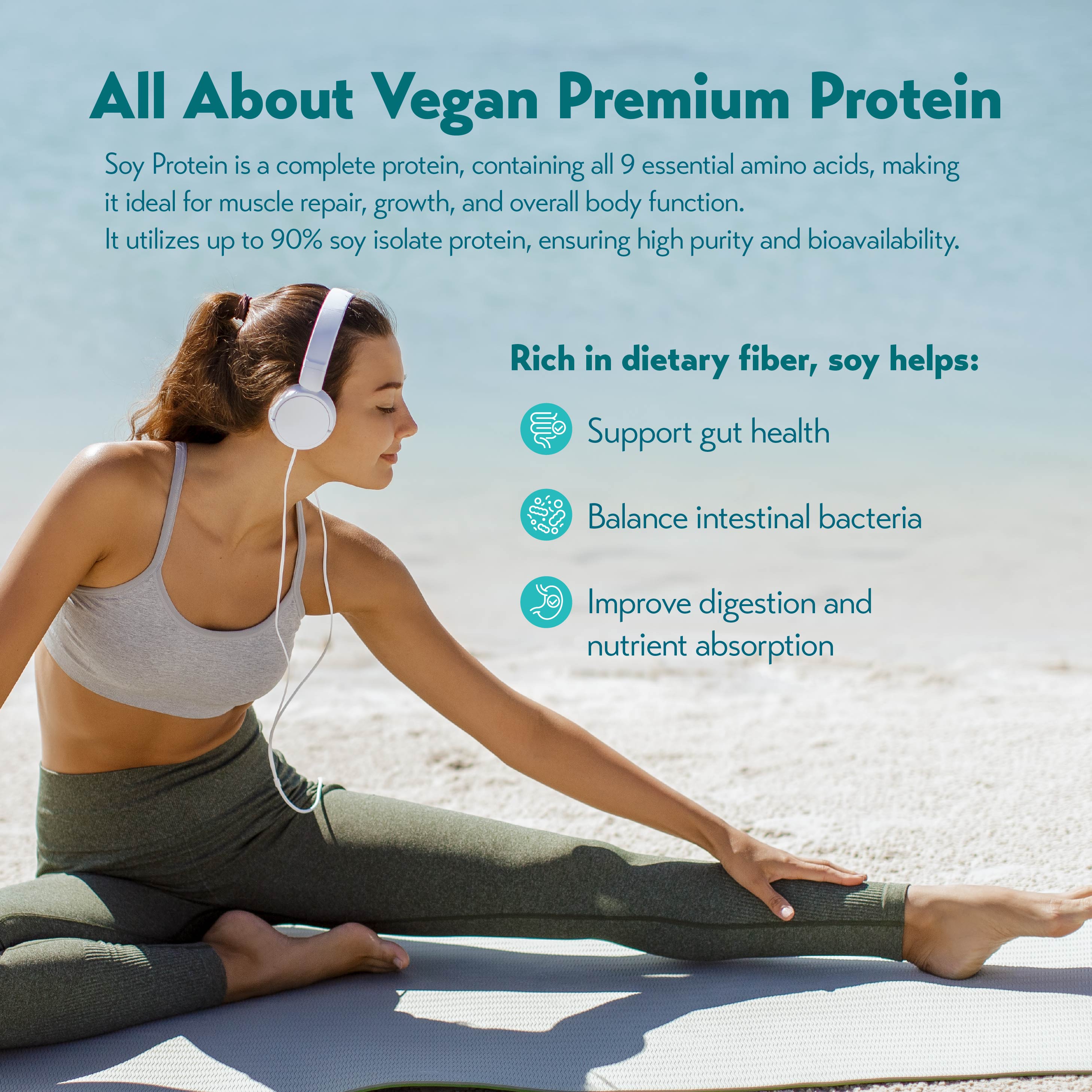 THE VEGAN Classic Plant Based Soy Protein (40g) (Pack of 5 / Pack of 15)