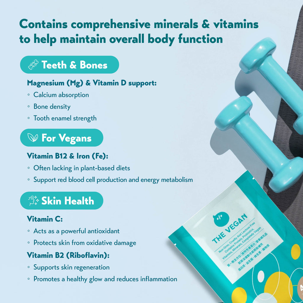 THE VEGAN Classic Soy Protein (1kg)